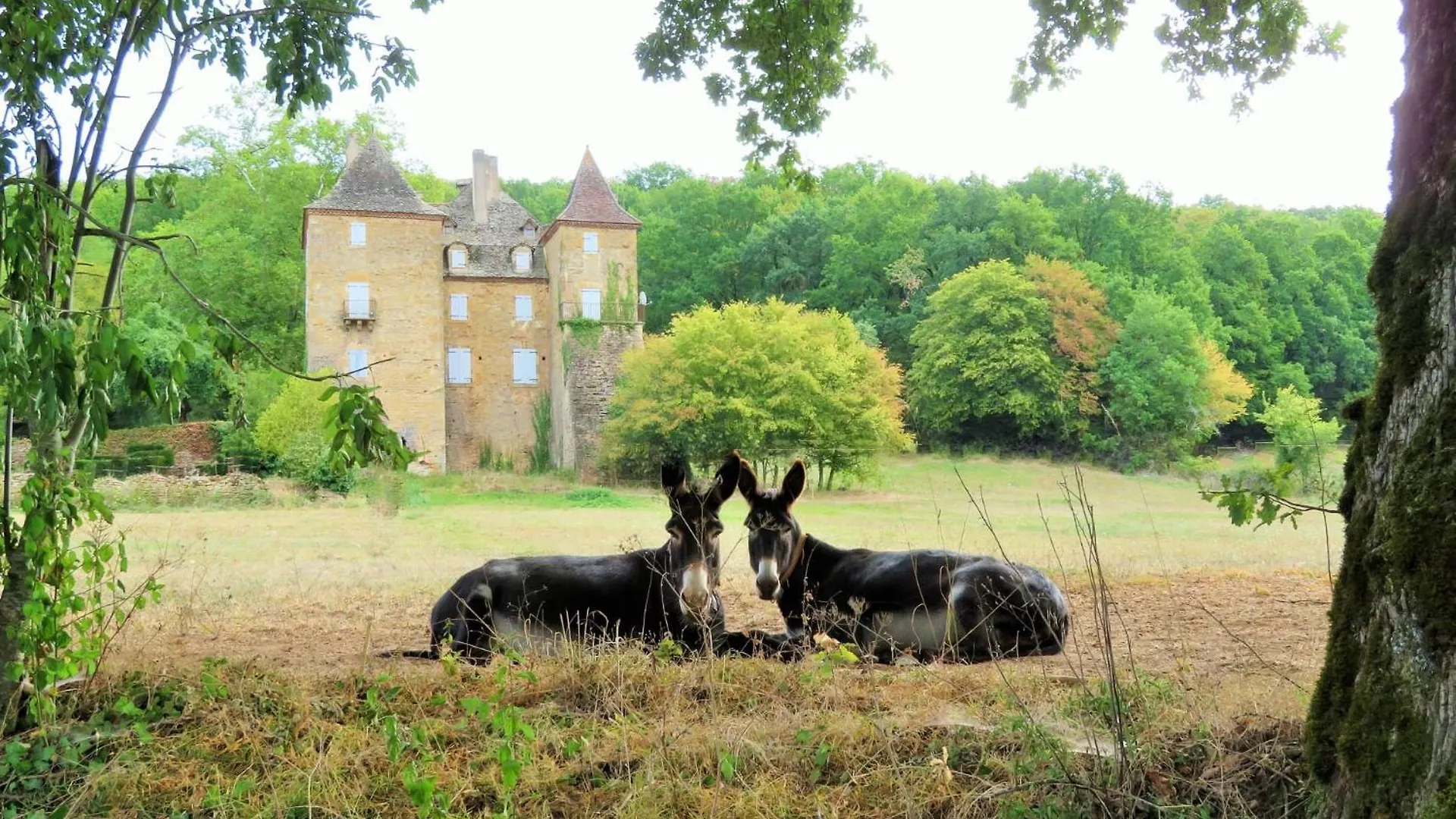 Frühstückspension Bed and Breakfast Jean Moulierat Prudhomat Frankreich